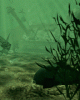 anim176220mobildesign.atw.hu_0495.gif